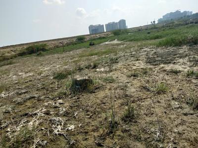 Image of 1188 Sq.ft Residential Plot / Land for sale in Ramalingapuram, Chennai for Rs. 7128000