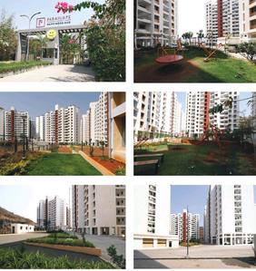 Image of 810 Sq.ft 2 BHK Apartment / Flat for sale in Khed Shivapur, Pune for Rs. 3800000