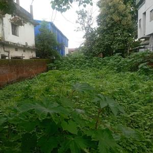 Image of 4400 Sq.ft 1 RK Farm House for rent in Ratu Basti, Ranchi for Rs. 100000
