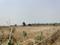 Rampur Plot View 2