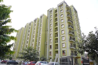 3 BHK Flat