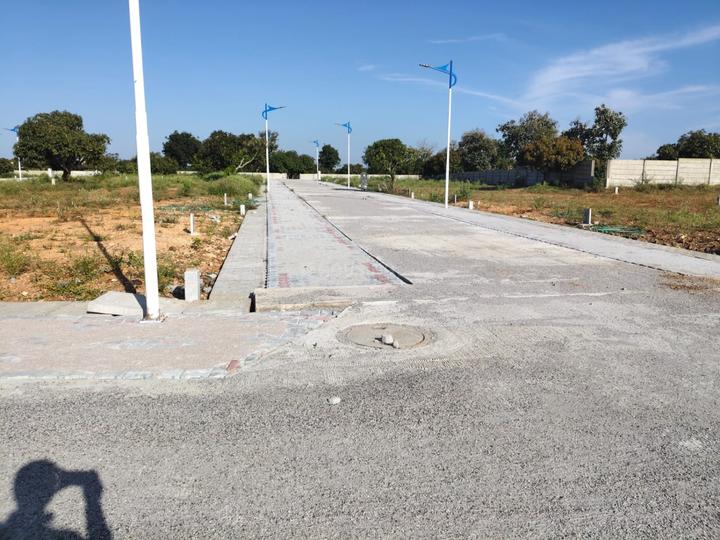 Peresandra Main Image 1