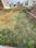 Bajwa Sunny Enclave Main Image 1