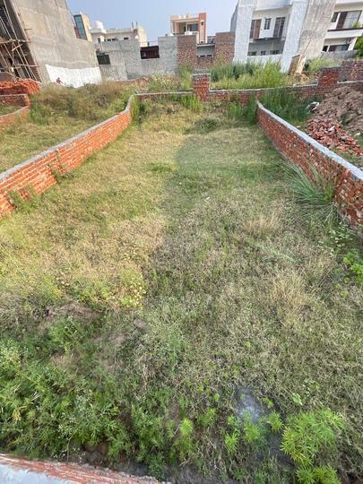 Bajwa Sunny Enclave Main Image 1