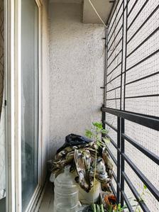 Living Room Image of 595 Sq.ft 1.5 BHK Apartment / Flat for sale in Shilgaon Thane for Rs. 5800000