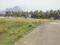 Pannimadai Plot View 2