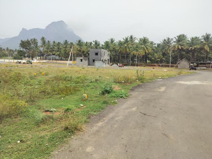 Pannimadai Main Image 1