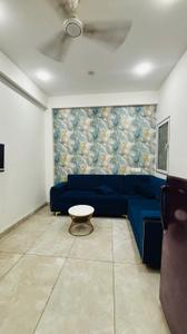 Hall Image of 550 Sq.ft 1 BHK Builder Floor for rent in Vijay Nagar Indore for Rs. 17000