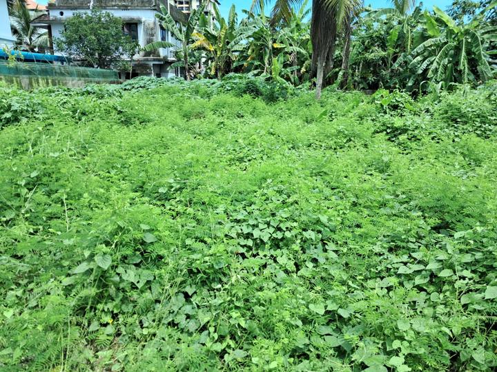 Keralarealty Main Image 1