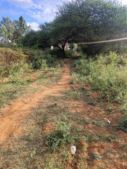 TGP Sarjapura Paradise Layout Main Image 1