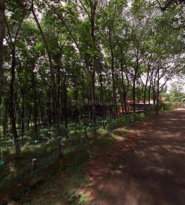 Image of 46173 Sq.ft Residential Plot / Land for sale in Adoor, Pathanamthitta for Rs. 15900000
