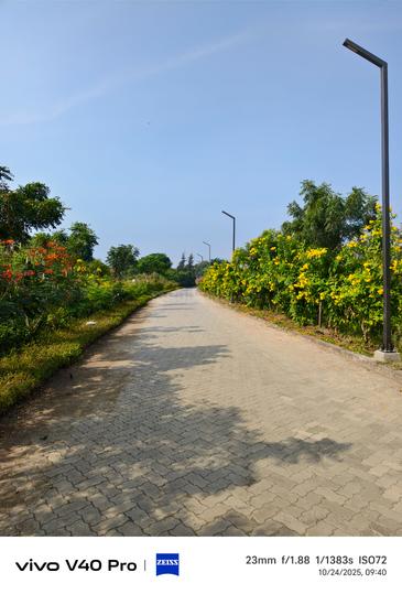 Silver Springs Main Image 1