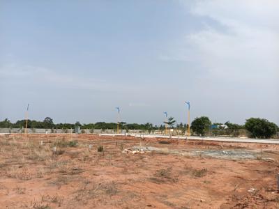 Residential Plot