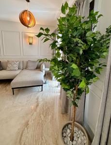 Hall Image of 6200 Sq.ft 4.5 BHK Villa for rent in Embassy Grove, Rustam Bagh Layout Bengaluru for Rs. 350000