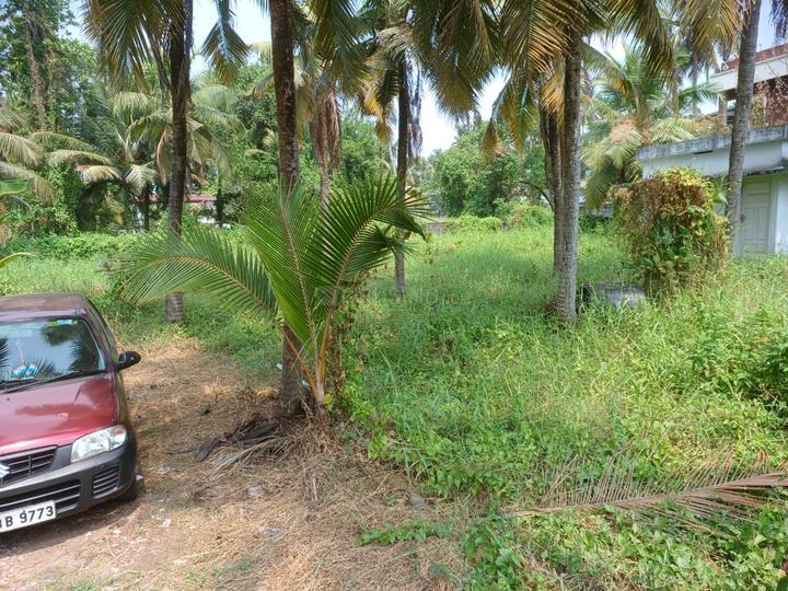 Keralarealty Main Image 1