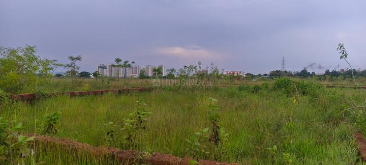Patrapoda Main Image 1