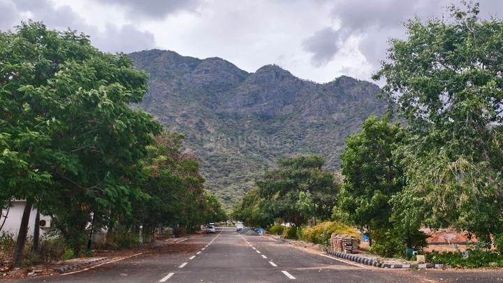 Vilpatti Main Image 1