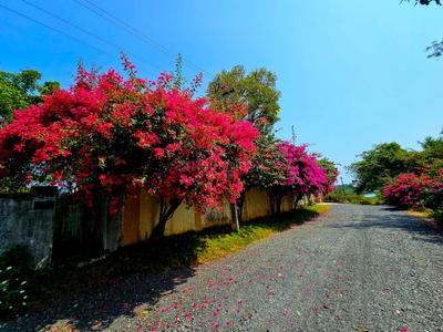 Image of 7700 Sq.ft 5 BHK Independent House for sale in Padur, Chennai for Rs. 105000000