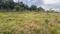 N A Plots Trambak Prakash Nagar Main Image 1
