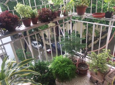 Balcony Image of 1580 Sq.ft 3.5 BHK Apartment / Flat for sale in Tollygunge Kolkata for Rs. 12500000