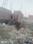Khadda Colony Plot View 2