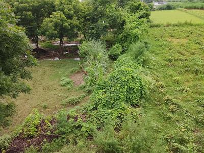 Chaumuhan Plot View 2