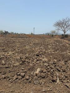 Residential Plot