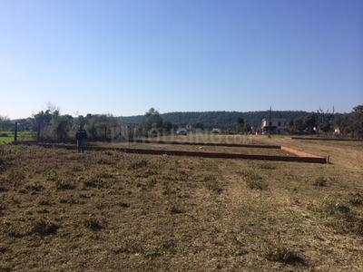 Image of 1768 Sq.ft Residential Plot / Land for sale in Bidholi, Dehradun for Rs. 5600000
