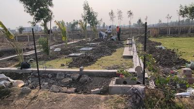 Kokta Bypass Plot View 3