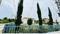 Redwood Park Premium Main Image 1
