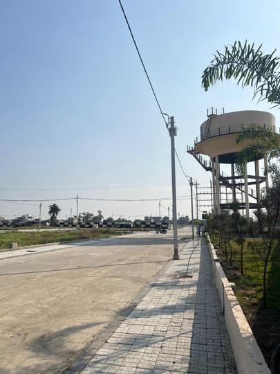 Manglia Main Image 1