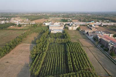 Image of 4900 Sq.ft Residential Plot / Land for sale in Biharigarh, Saharanpur for Rs. 46000000