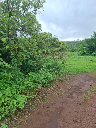 vazepur Main Image 1