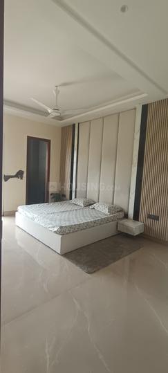 Amolik Aster Woods Main Image 1