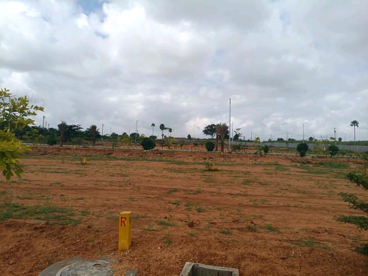 Kongara Kalan Main Image 1