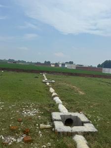 Gajari Plot View 3