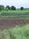 Pirkon Main Image 1