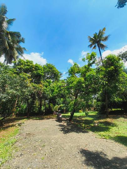 Mannuthy Main Image 1