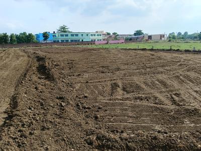 Kurkuri Plot View 2