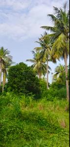 Image of 10000 Sq.ft Residential Plot / Land for sale in Patan, Durg for Rs. 3906000