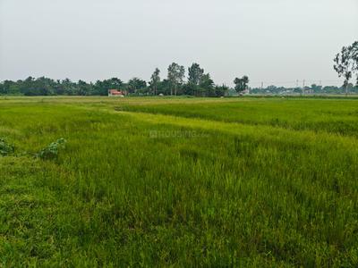 Sonarpur Plot View 2