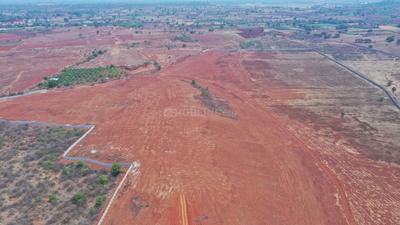 Myron Dynasty Plot View 2