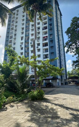 Confident Orion Main Image 1