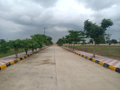 Hampton Palms Internal Roads 2