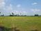 Bihta Main Image 1