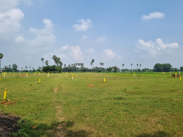 Bihta Main Image 1