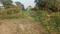 Dahava Mail Plot View 2