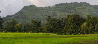 Image of 15000 Sq.ft Residential Plot / Land for sale in Shahapur, Thane for Rs. 2999999