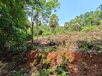 Image of 2711 Sq.ft Residential Plot / Land for sale in Nenmara, Palakkad for Rs. 2500000