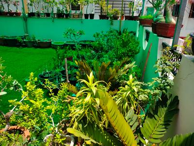Image of 3200 Sq.ft 3 BHK Duplex for sale in Manjalpur, Vadodara for Rs. 15000000